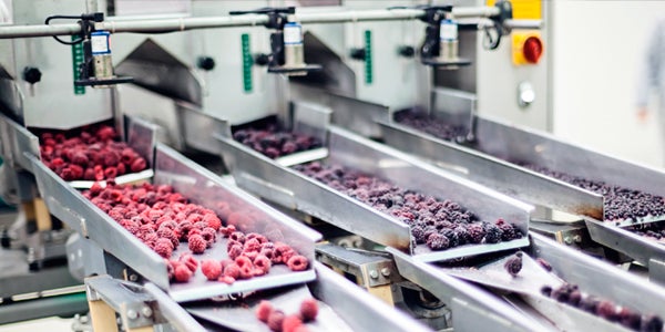 fruits being separated by automated machines